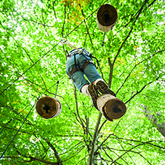 Flims high-rope course